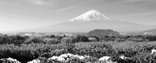 giappone