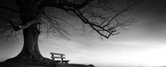 solitudine